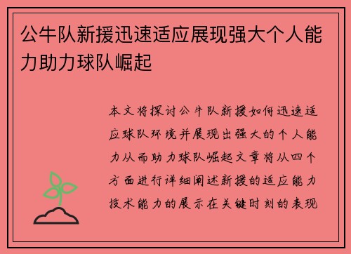公牛队新援迅速适应展现强大个人能力助力球队崛起