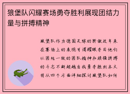 狼堡队闪耀赛场勇夺胜利展现团结力量与拼搏精神