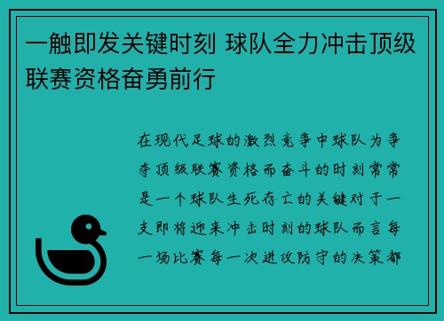 一触即发关键时刻 球队全力冲击顶级联赛资格奋勇前行