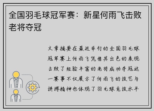 全国羽毛球冠军赛：新星何雨飞击败老将夺冠